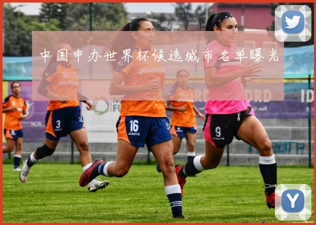 中国申办世界杯候选城市名单曝光