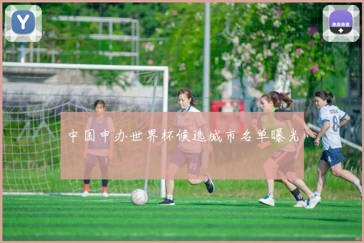 中国申办世界杯候选城市名单曝光